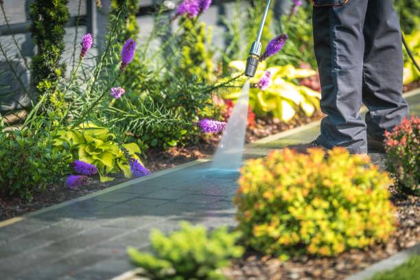 Best Spring Cleaning  in Mill City, OR